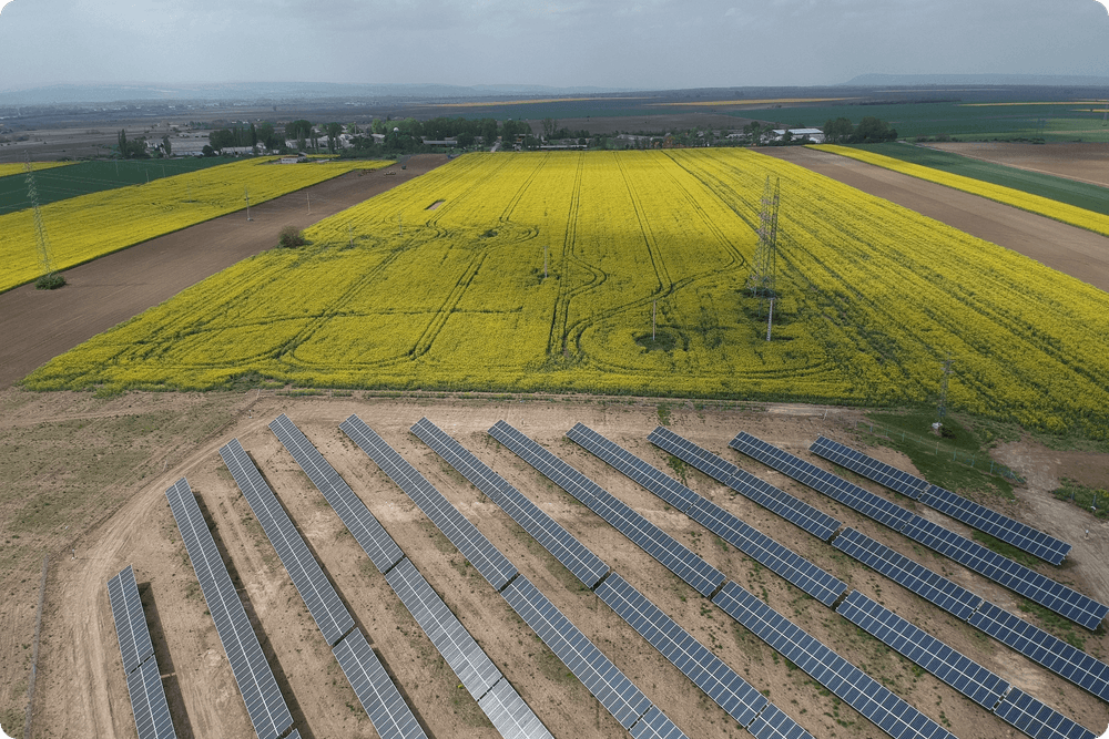 Magyarország első 1 MWp teljesítményű SolarEdge technológiával optimalizált napelemes rendszere felülmúlja a várakozásokat