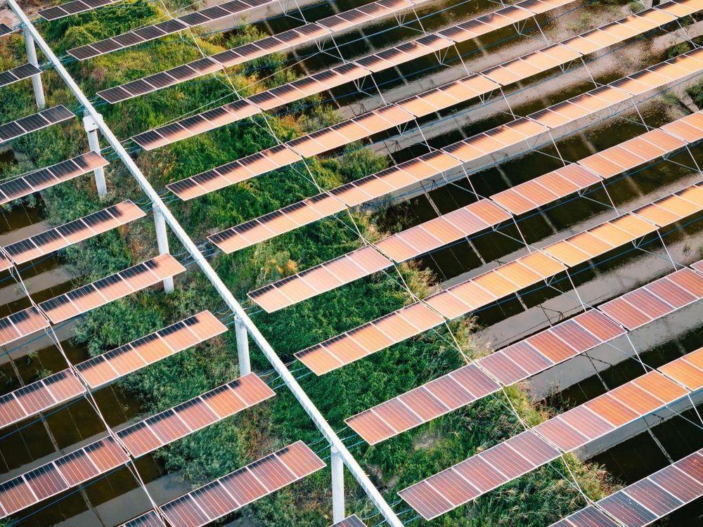 Rekordév a napenergiában: új korszakba lépett a globális villamosenergia-rendszer